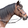 Hackamore Bitless Bridles